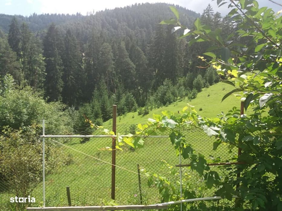 Teren intravilan de 2000 mp cu livada și foișor