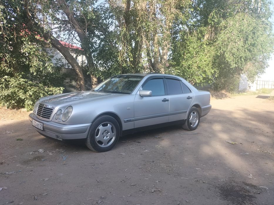 Продам живой Лупарик
