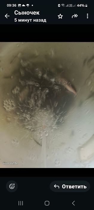 Продаю живца для ловли рыбы