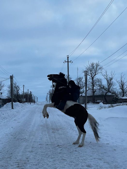 Нечиго нету  дааа