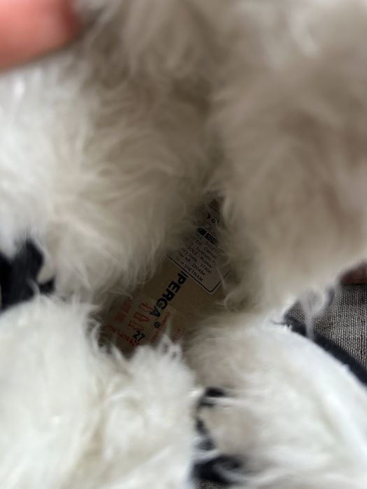 Нови високи кецове / ботуши Supergra