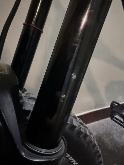 Scott Gambler 2019 M 27.5