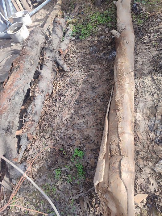 Дрова отдам почти даром . Утин арзон