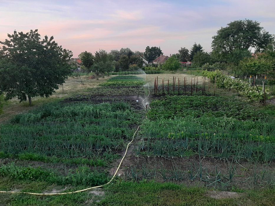 Teren 2000 mp cu front mare, + casa cu utilitati Biharkeresztes