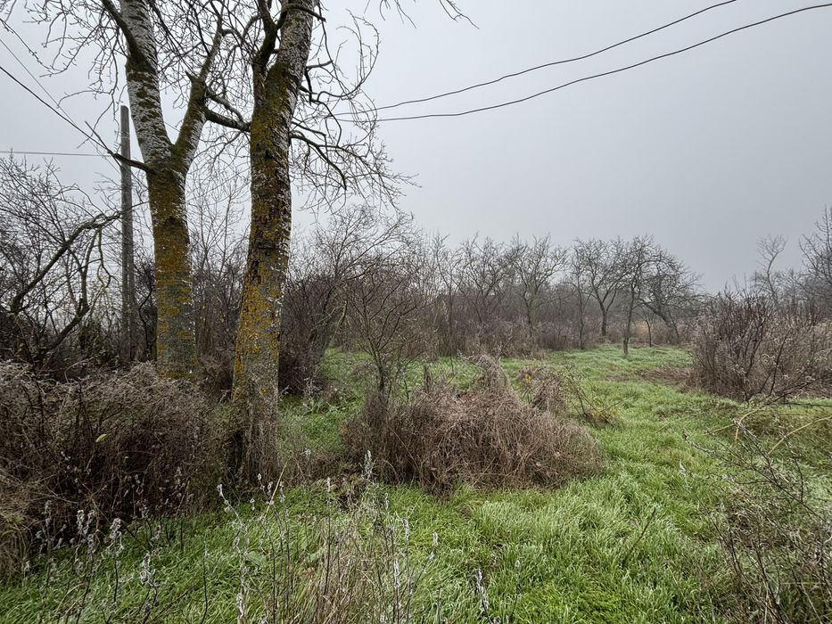 Teren vanzare + constructie / 2499 mp / electricitate+apa