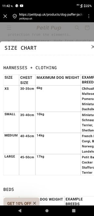 Яке за куче от малка порода 35-40 см 10 кг
