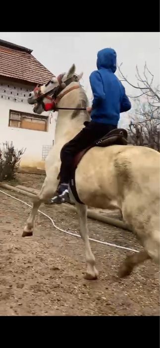 Vand iapa de calarie