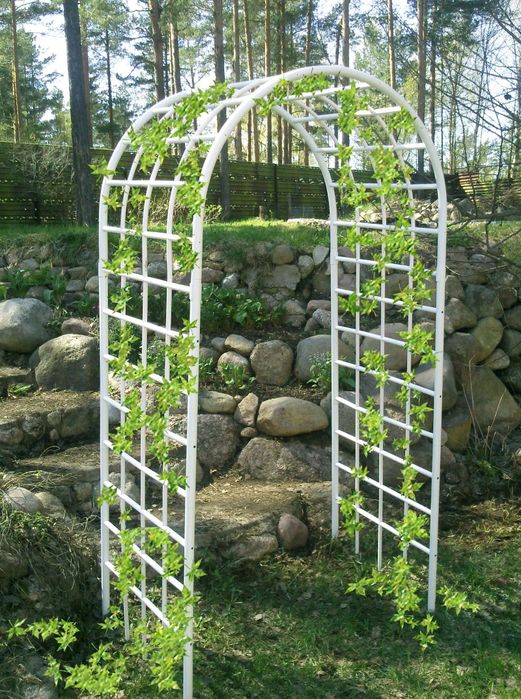 Арки садовые. Садовые арки  из металла .