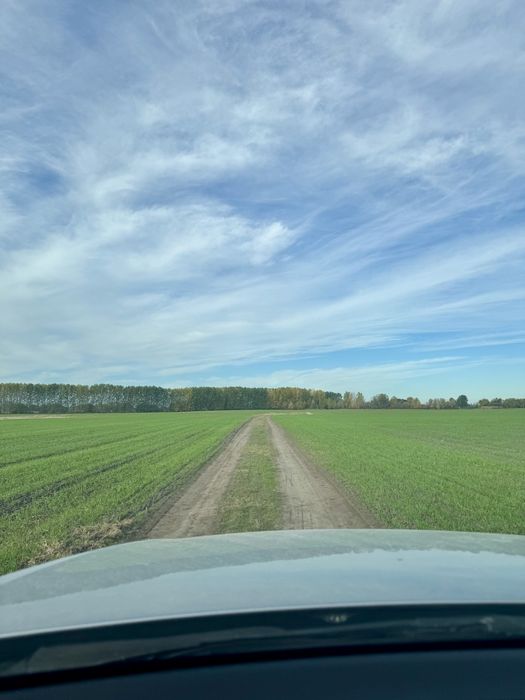 Продава се Парцел в с. Ягодово, Област Пловдив - 4215 кв.м за 21 €/кв.м - Снимка #4