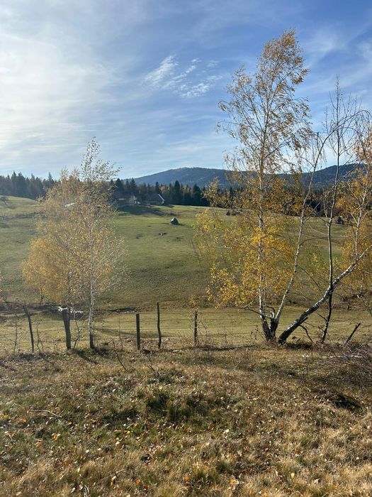 vând teren in Călățele Padure