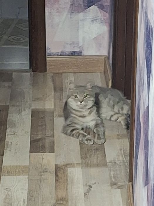 Отдам даром кошку , крысалов