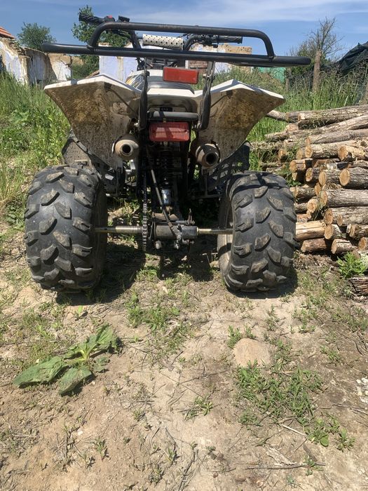 Vand atv 125 reptor style