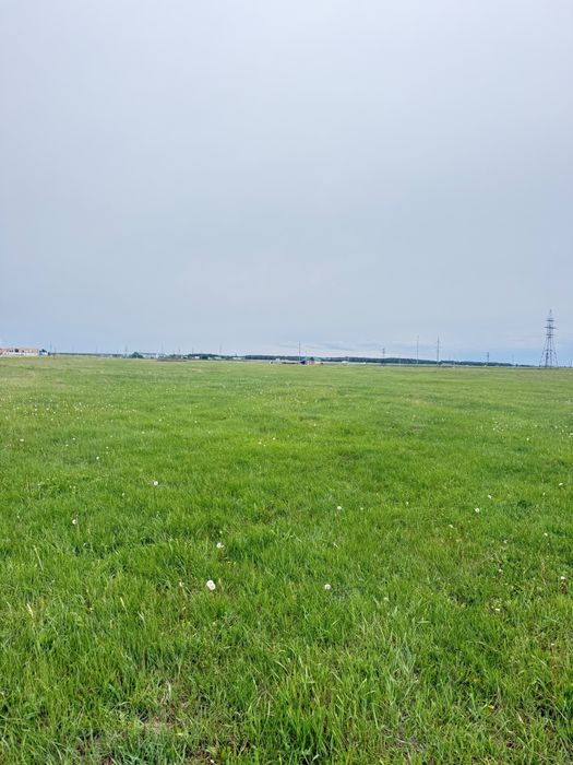Щучинск. район Мясокомбината