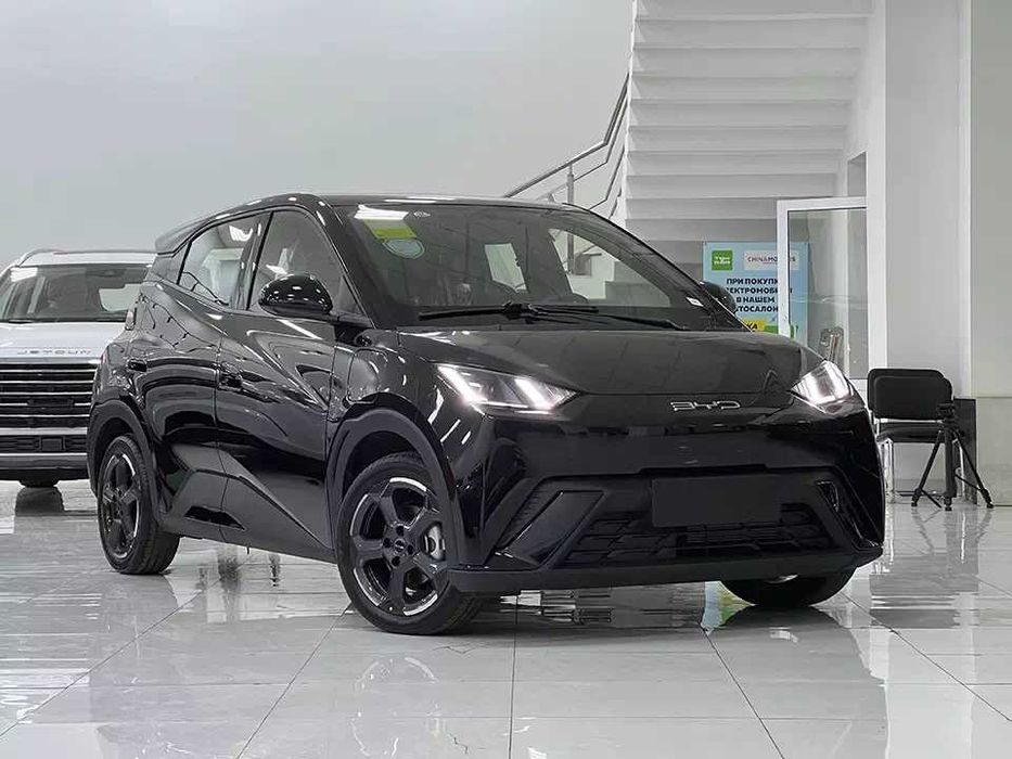 BYD Seagull pod zakaz