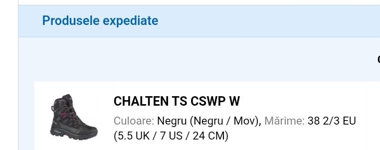 Bocanci femei Salomon