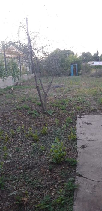 Дачу район Келешек