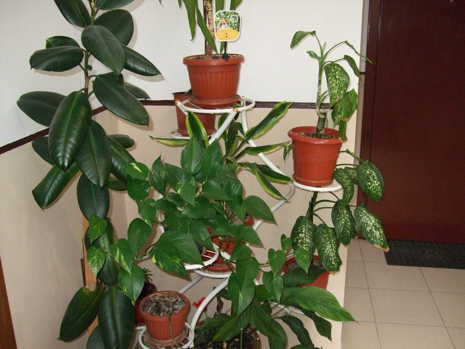 Fujifilm FinePix F40fd