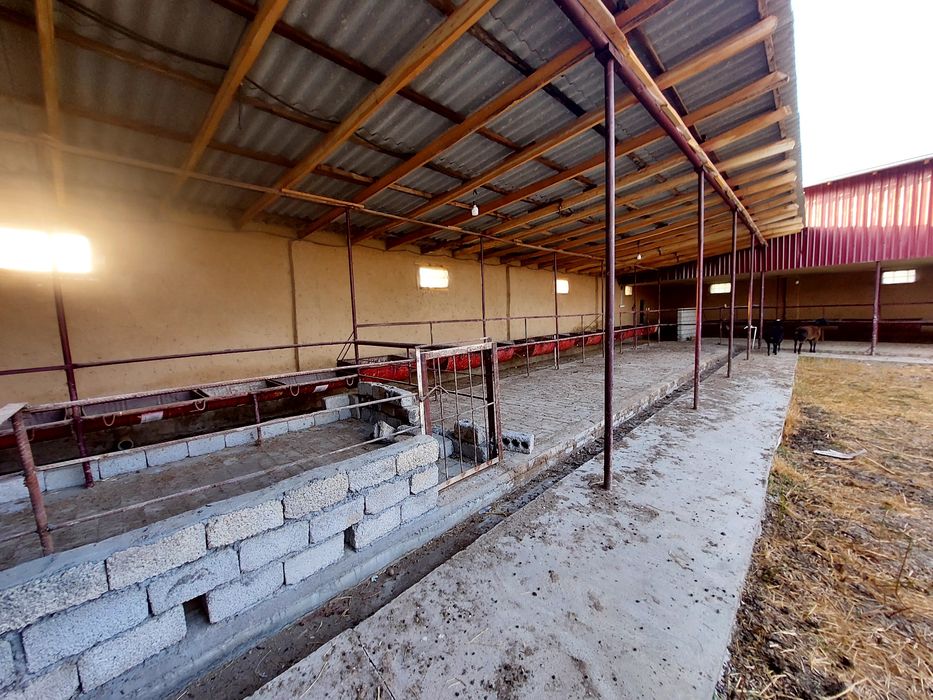 Современная ферма с готовым домом (12 соток) и ферма (18 соток) делимы