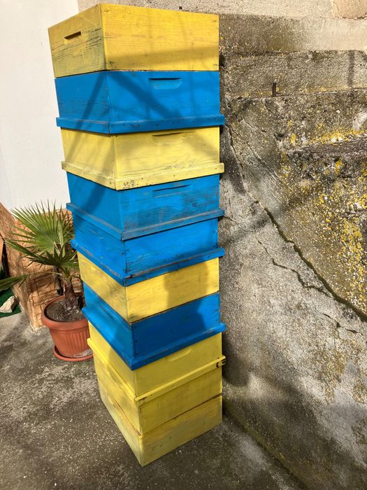 Магазини  за 10 рамкови кошери дебелина 2,5 см