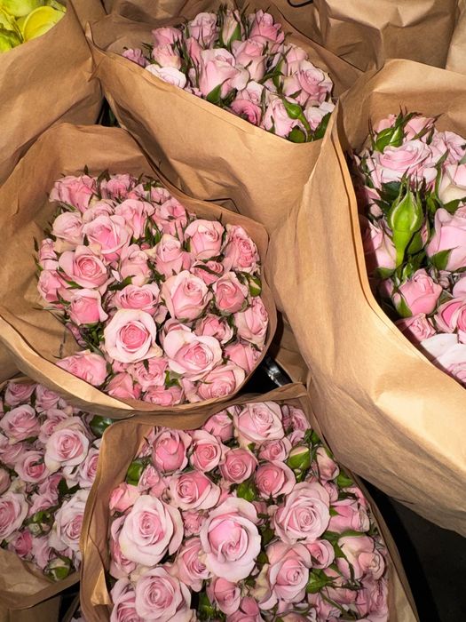 Кустовые розы 

430.000 / пачка
