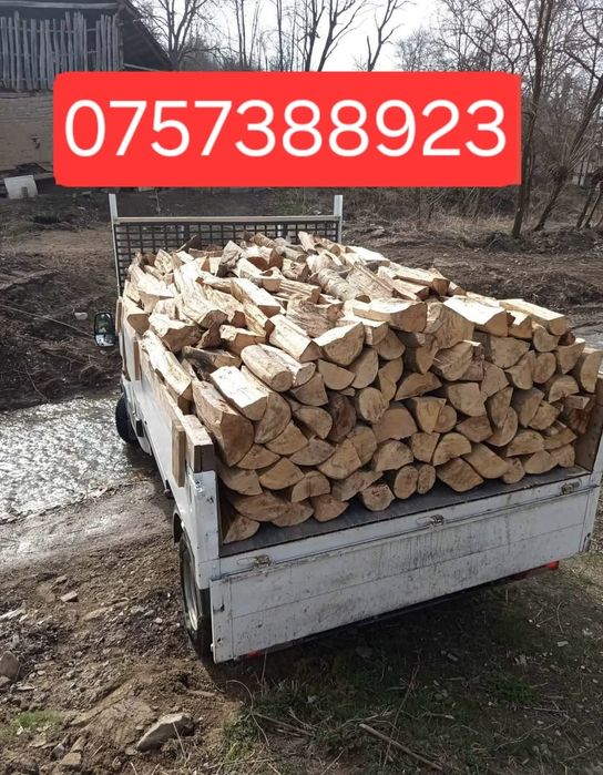 Lemne Foc (Fag,Stejar,Carpen) 480 Lei