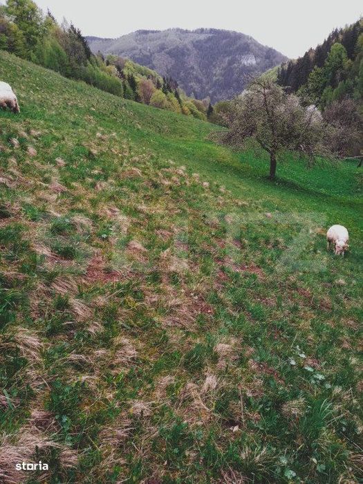 Teren intravilan agricol in Bran - Brasov