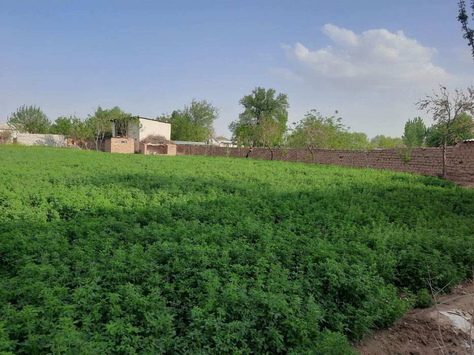 Участка сотилади