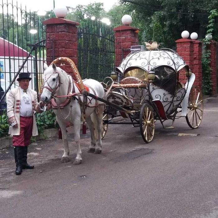 карета, фаэтоны, кони