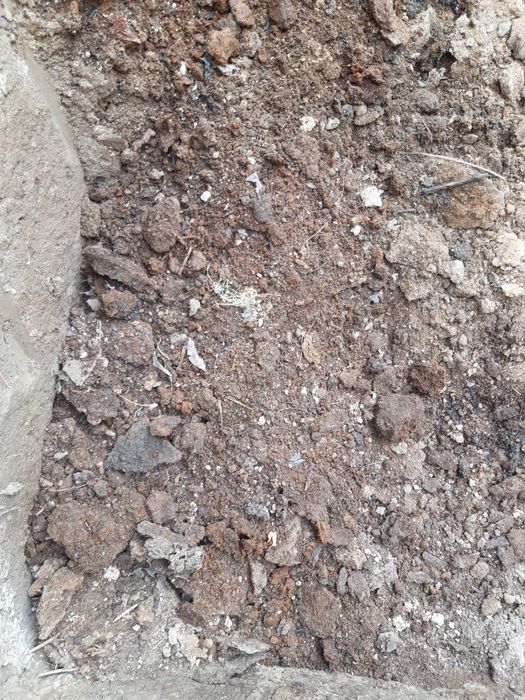 Куй гунги, чириган