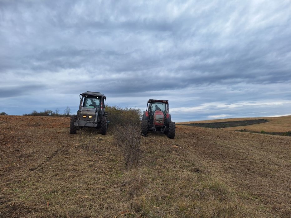 Servicii de curatare și întreținere pășuni
