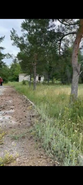 Продам пионерский лагерь