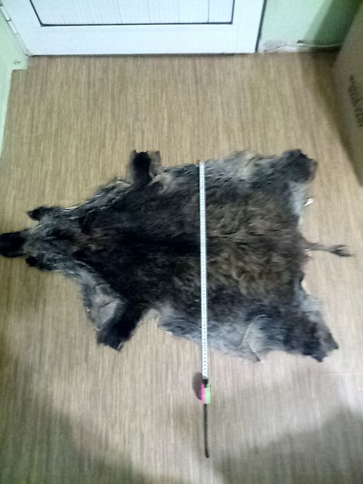 Кожа от диво прасе