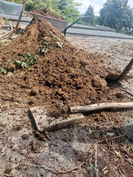 Рязане на опасни дървета ; чистене на дворни места ;рязане на дърва за