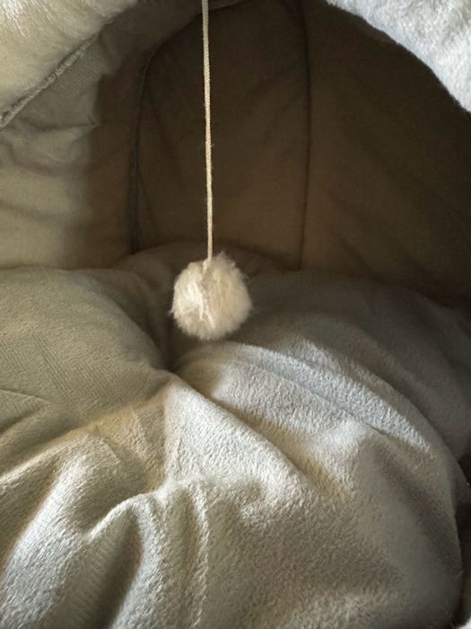 Уютно легло за животни