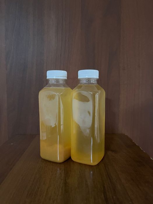 Сосновые шишки для иммунитета