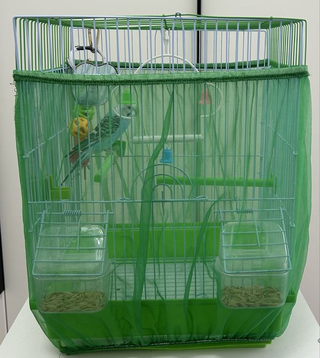 Продам попугай с клеткой!