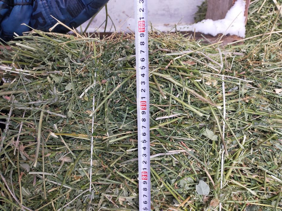 Жоңышқа пресс сатылады