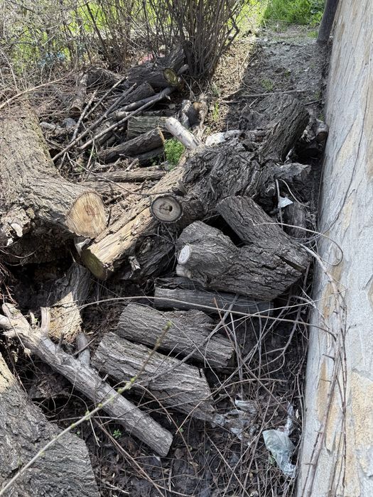 Отын берем тегін өздерініз алып кетсенәз болды