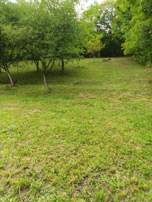 Teren de vanzare intravilan Bistra Muresului 4432mp - Mai multe