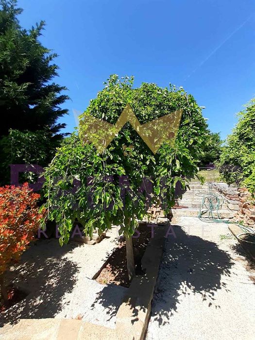 Продава се Парцел в с. Долище, Област Варна - 760 кв.м за 47 €/кв.м - Снимка #11