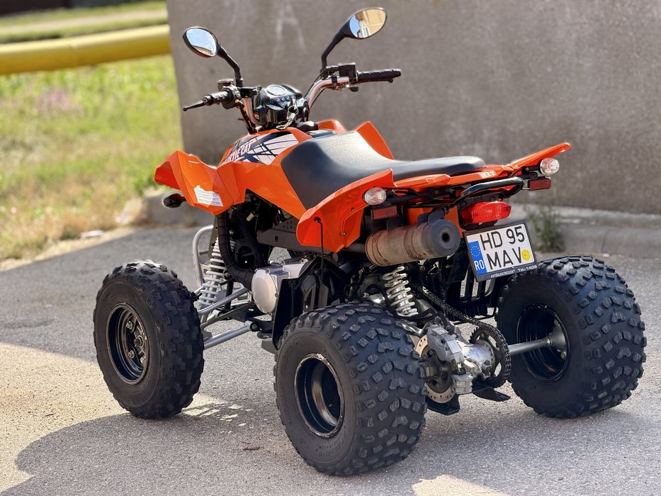 Arctic Cat DVX 300 Quad     Inmatriculat Numar Negru
