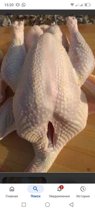 Мясо домашней индейки