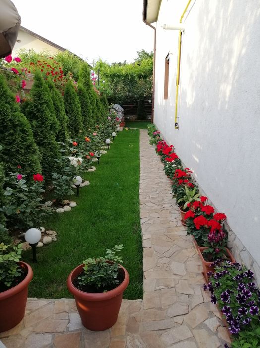 Se oferă spre vânzare duplex p+1  complet mobilat și utilat.Direct propietar.Comuna Berceni zona Trandafirilor.5minute față de Lidl.