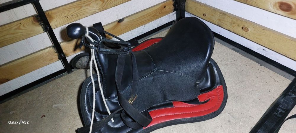 Ер тоқым сатылады