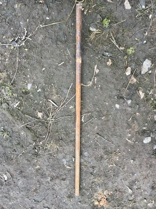 Кругляк в хорошем состоянии