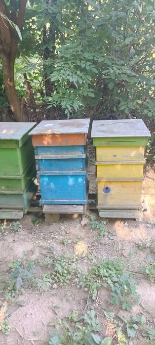 Кошери ДБ 10 рамкови