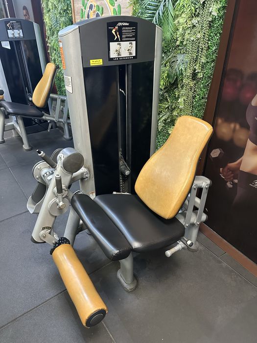 Предно и задно бедро Life Fitness