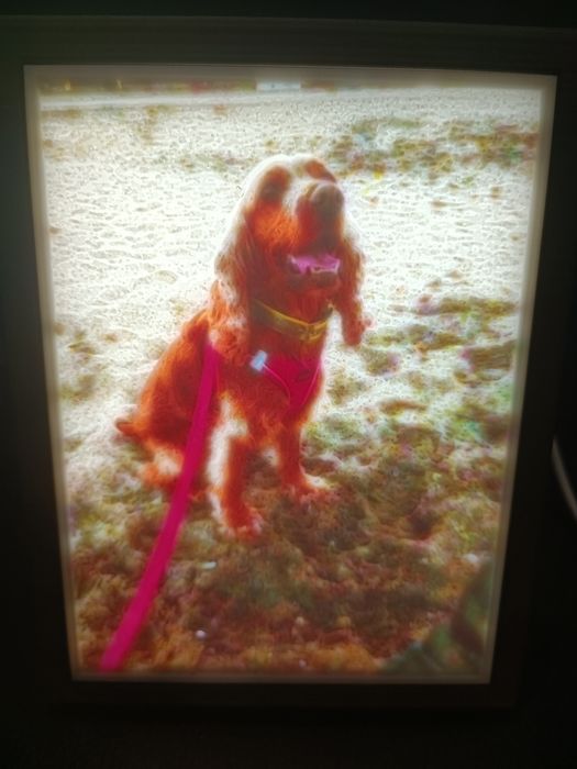 Уникален подарък- рамка принтирана изцяло с 3D филаменти