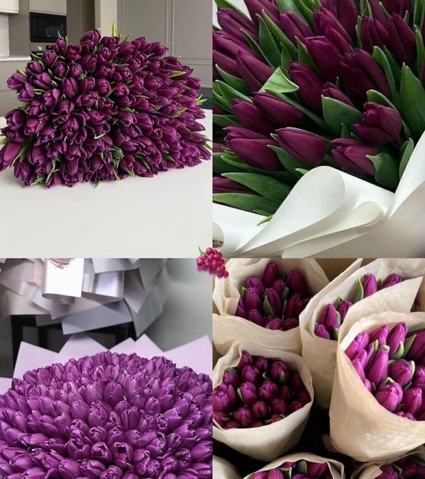 Принимаем предзаказ на Тюльпаны  на 8 марта