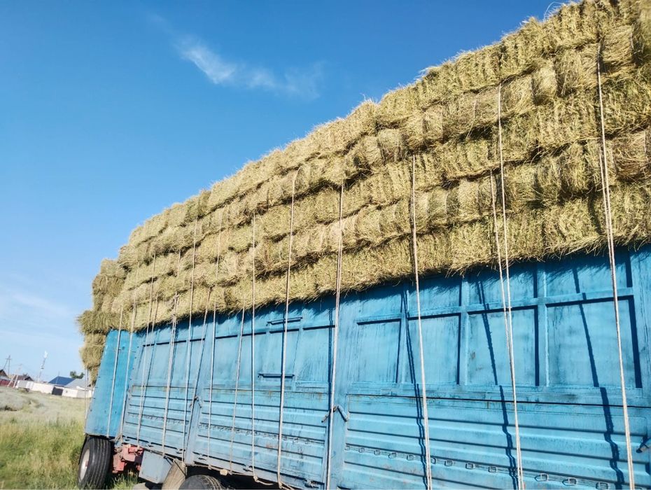 Продам тюковое сено